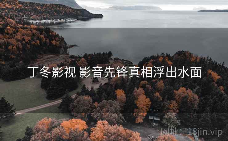 丁冬影视 影音先锋真相浮出水面
