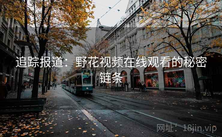 追踪报道：野花视频在线观看的秘密链条