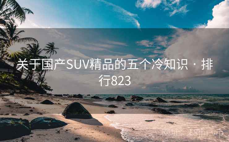 关于国产SUV精品的五个冷知识 · 排行823