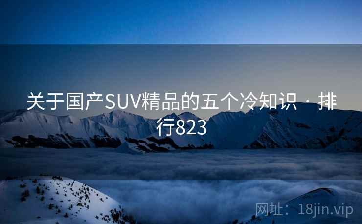 关于国产SUV精品的五个冷知识 · 排行823